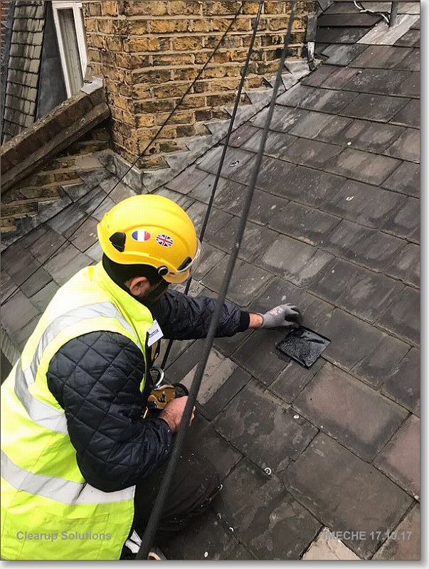 Abseil Property Services