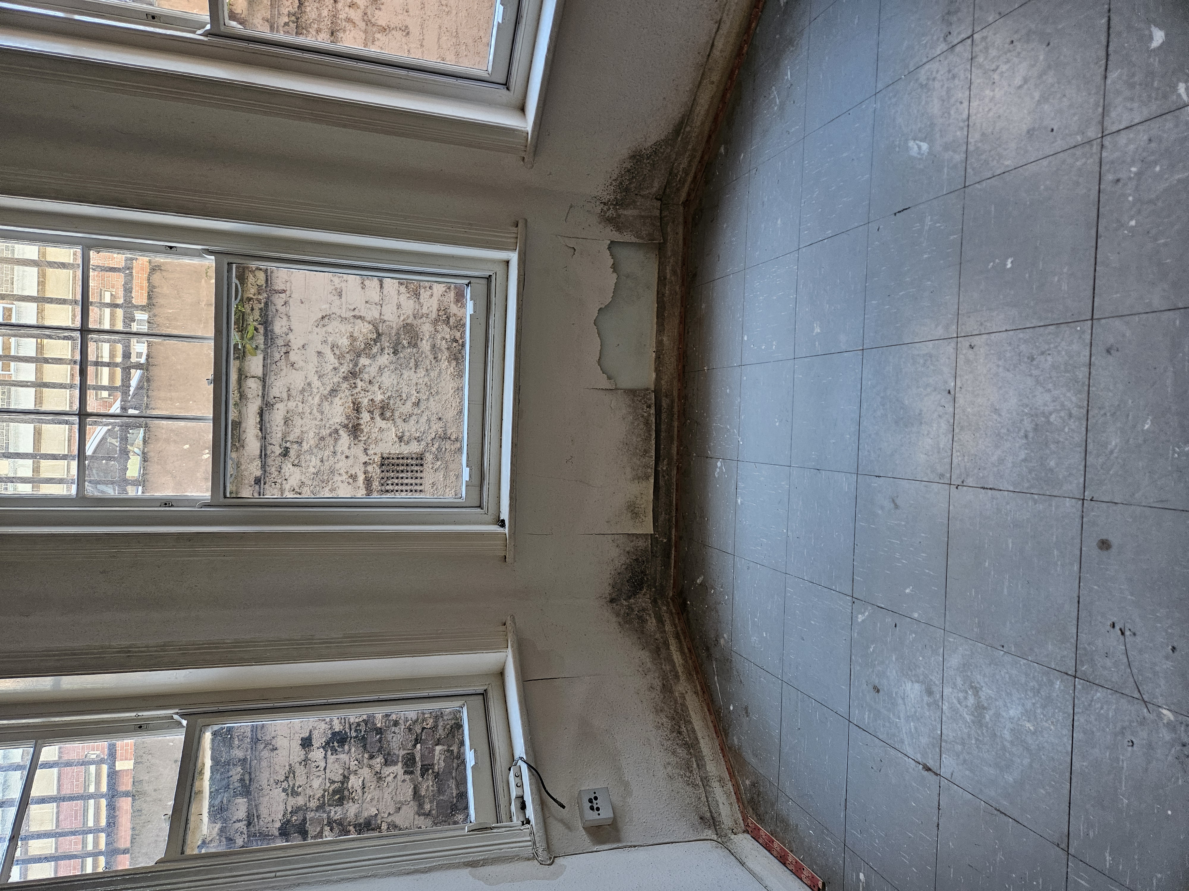 Damp and Mould